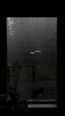 I'm Sorry
