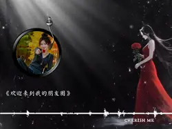 播放器背景