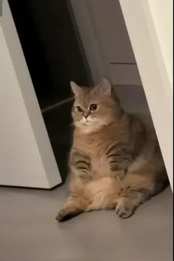 ลำบากอีก