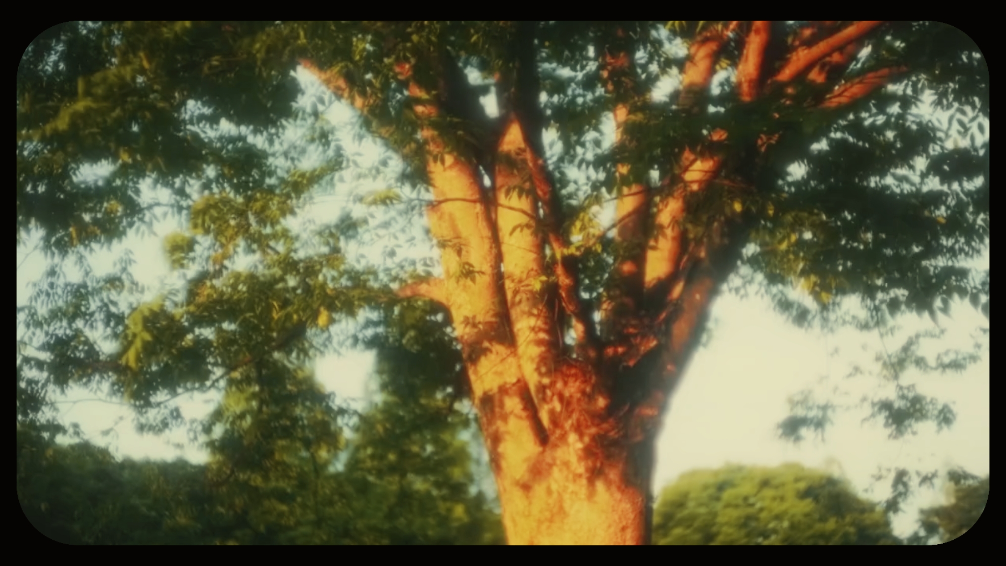 AESTHETIC CINEMA 