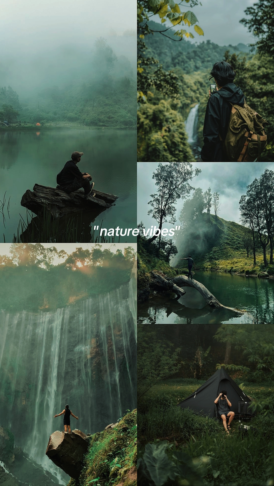 Vibraciones de la naturaleza
