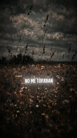 Me enamoré