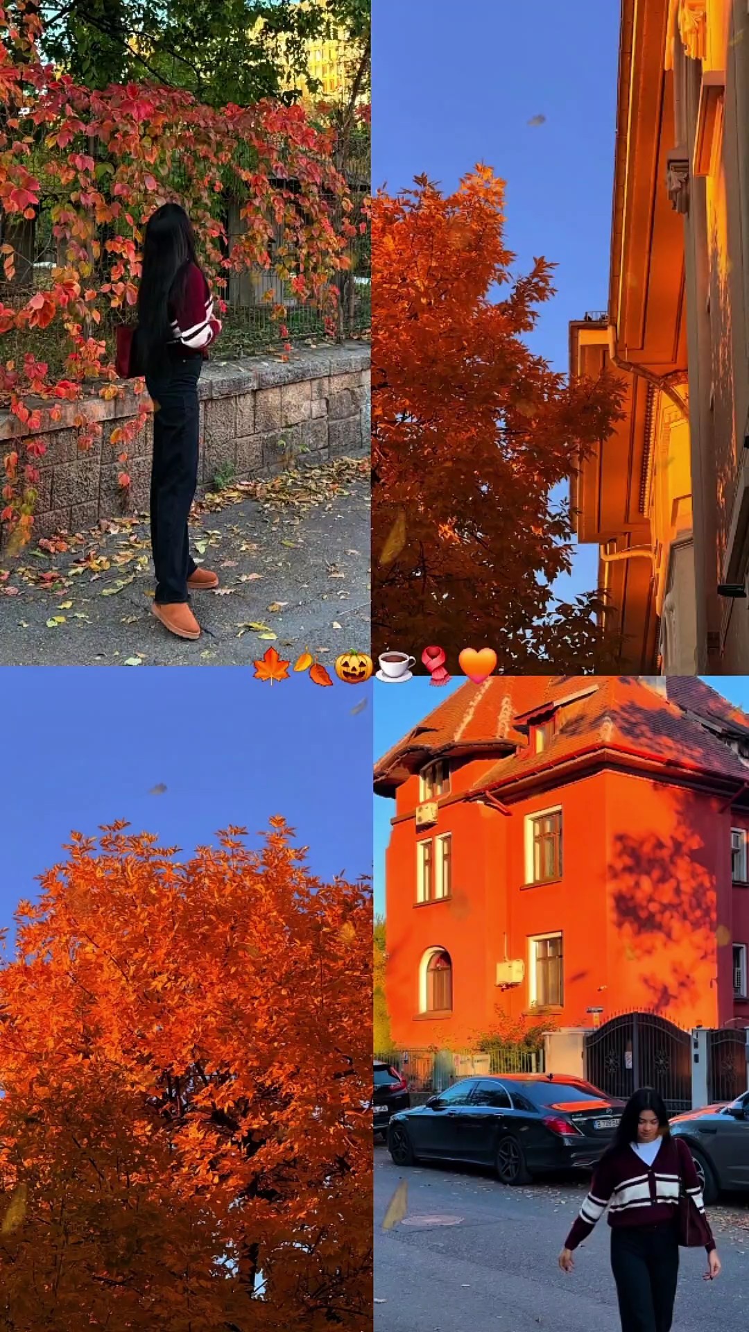 Herbst-Ästhetik