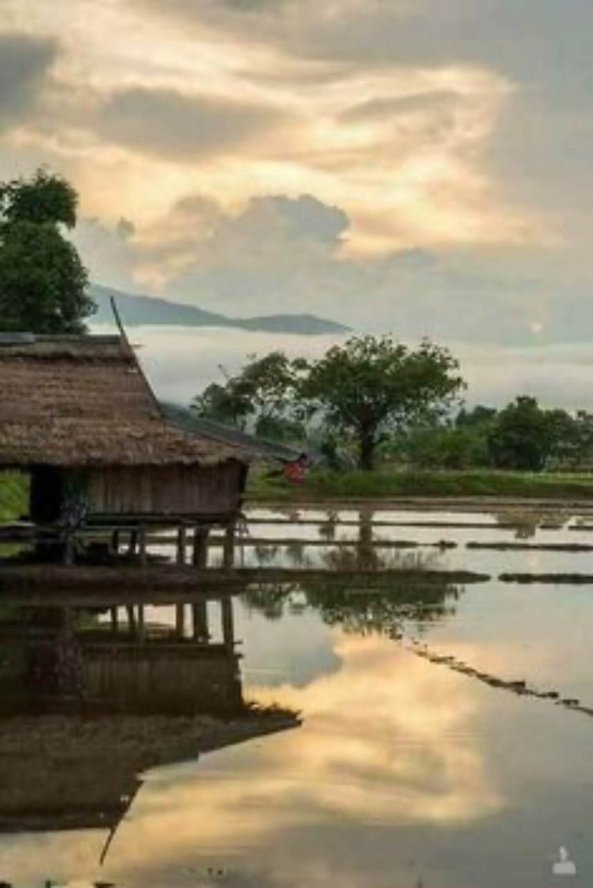 เพลงเพราะ”ชมทุ่ง”