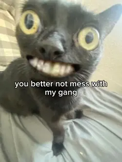 mess with my gang