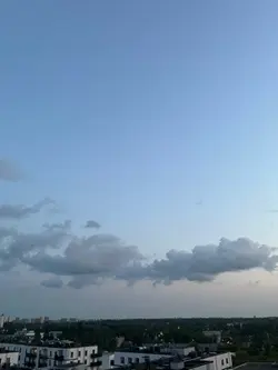 Nie gadam z psami🐶🐕‍🦺🦮