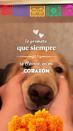 Recuerdo Cachorro