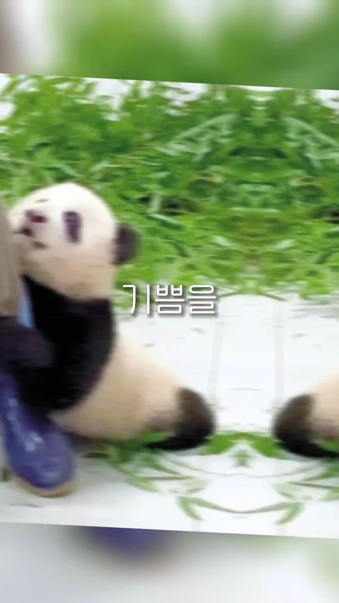 환상의 나라로 오세요