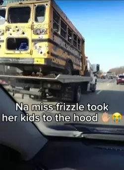 Na ms frizzle