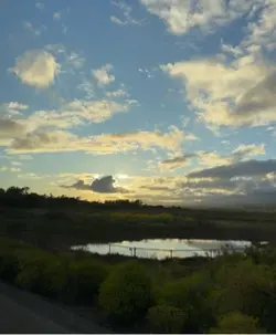 Your 5th emoji is…