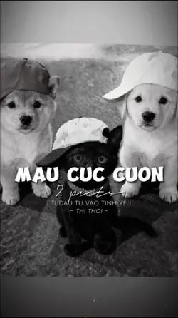 2 ẢNH GIẬT GIẬT CHÁY