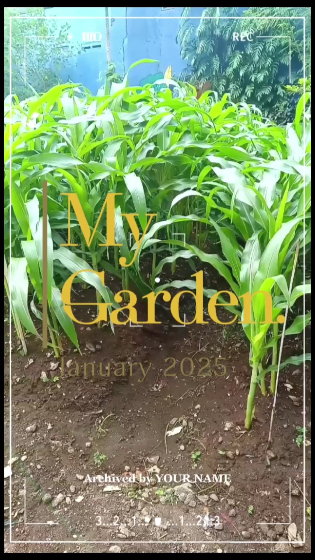 Meu jardim