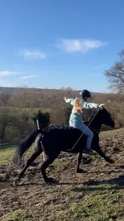 Pretty Horse Slowmo