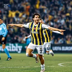 fenerbahçe olley