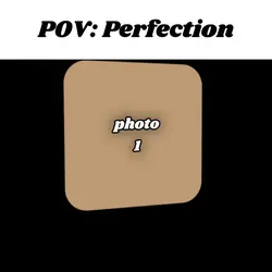 Perfection 