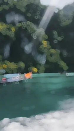 Slow Motion Video 
