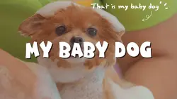My baby dog