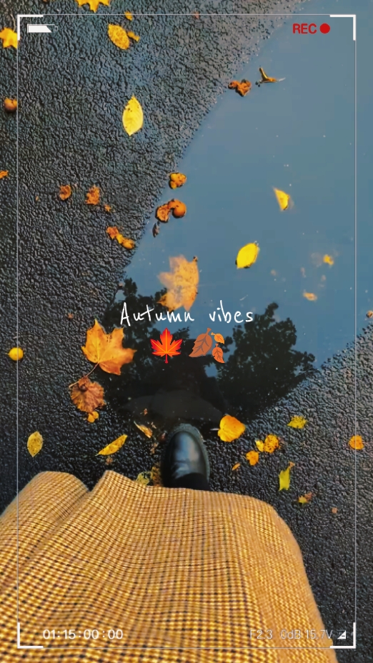 autumn vibes 