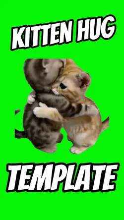 Kitten Hug
