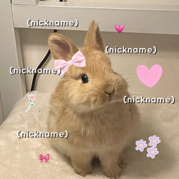 nom