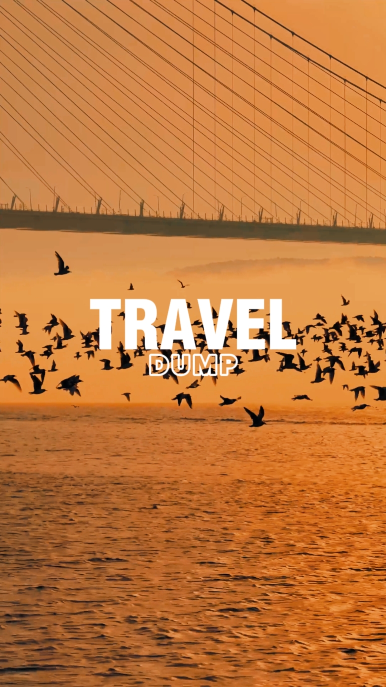 Travel Dump 