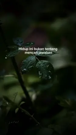 quotes motivasi 
