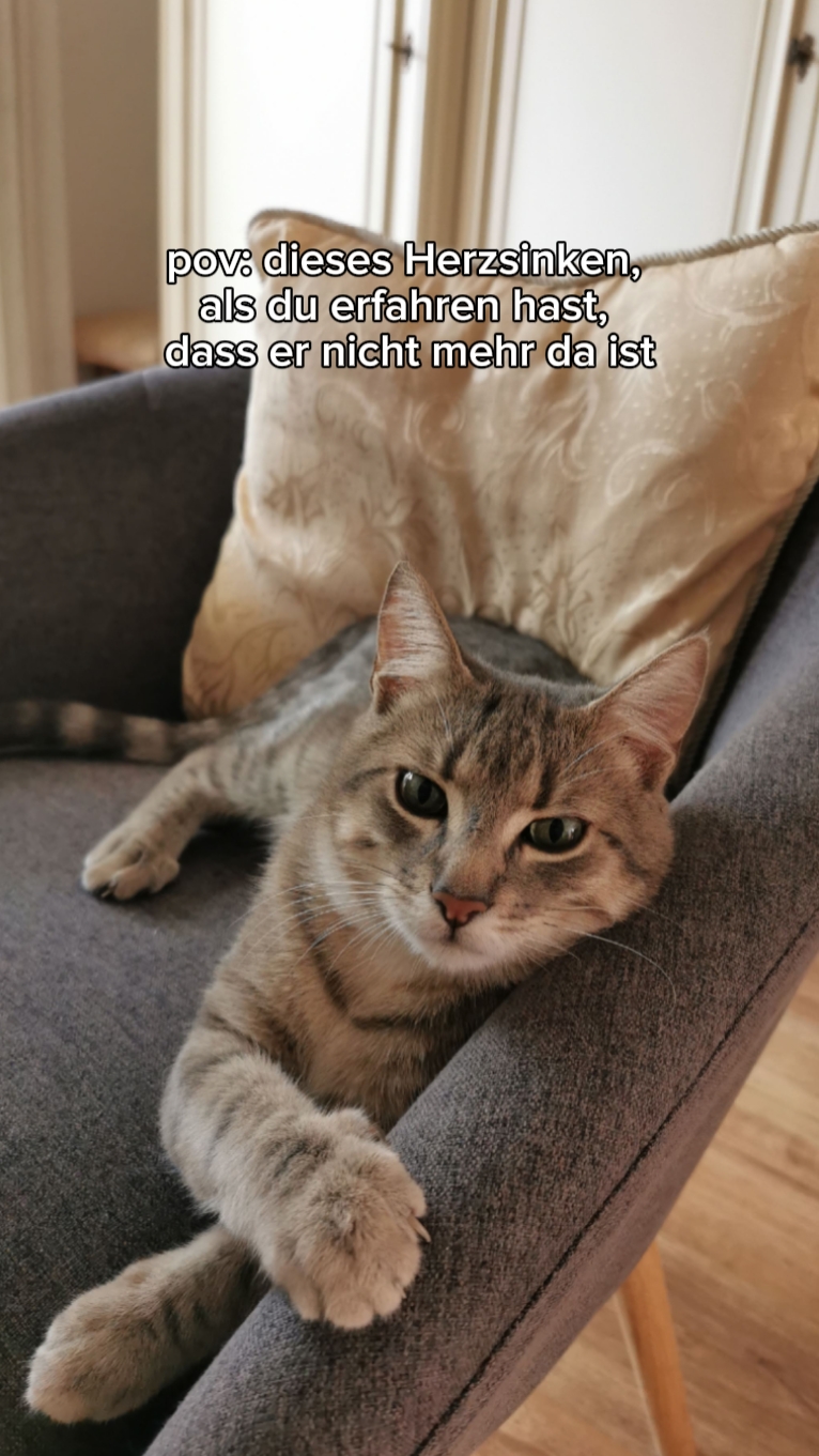 Ich vermisse ihn