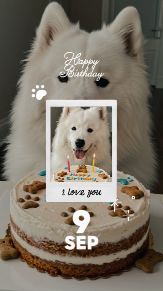 Birthday Dog 9 Sep