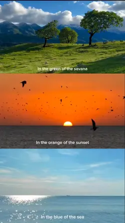 3grid video