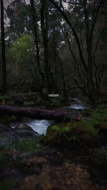 Natureza