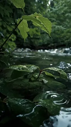 6 video cinematic