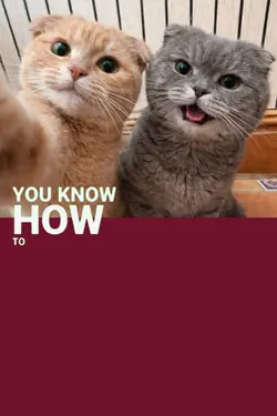 pose trend cat
