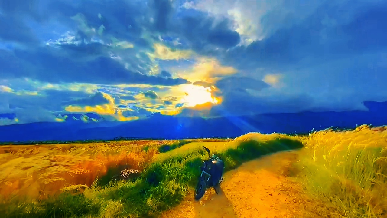 Run free chuyển màu