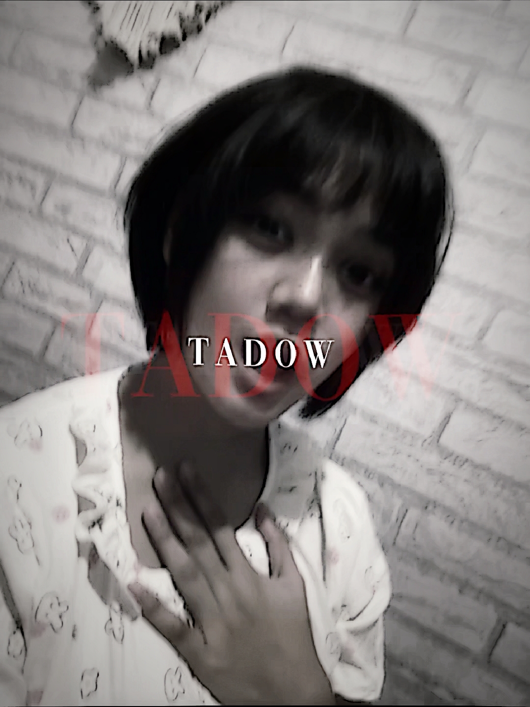 tadow trend 