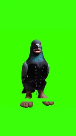 Bare Minimum Bird
