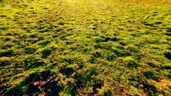 video 0.5
