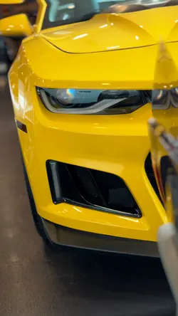 Bumblebee