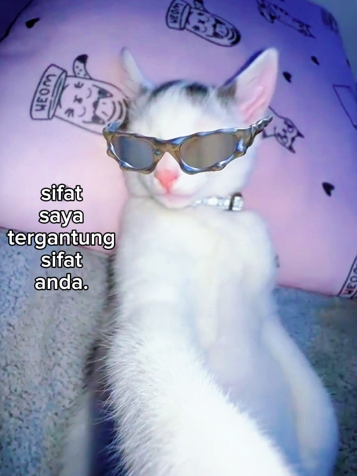 Foto live na katas