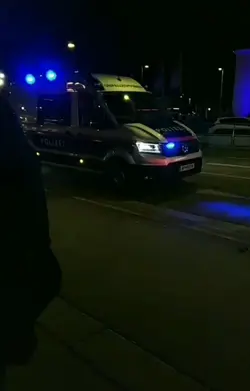 In meinen Träumen 