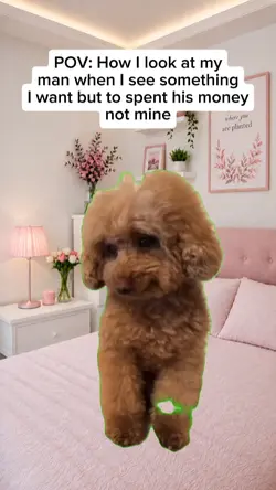 Cute dog
