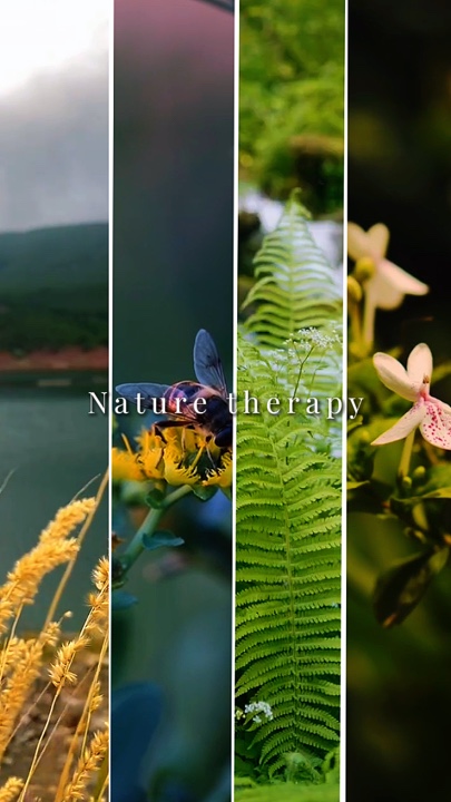 Nature Therapy