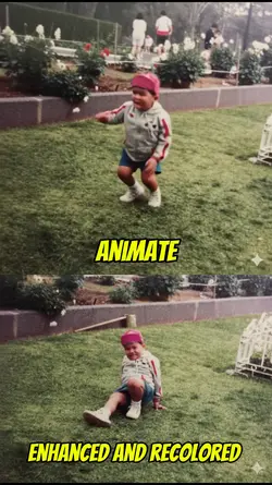photo to animate