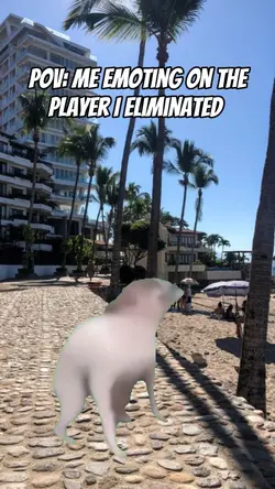 dog dancing