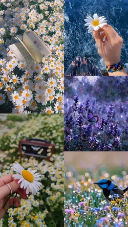 Spring Aesthetic 