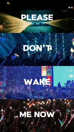 concert memories