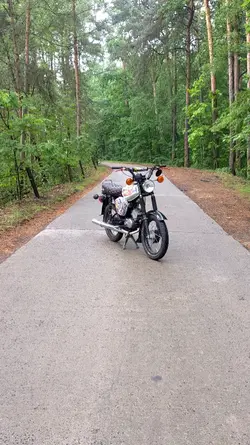 Simson im Wald