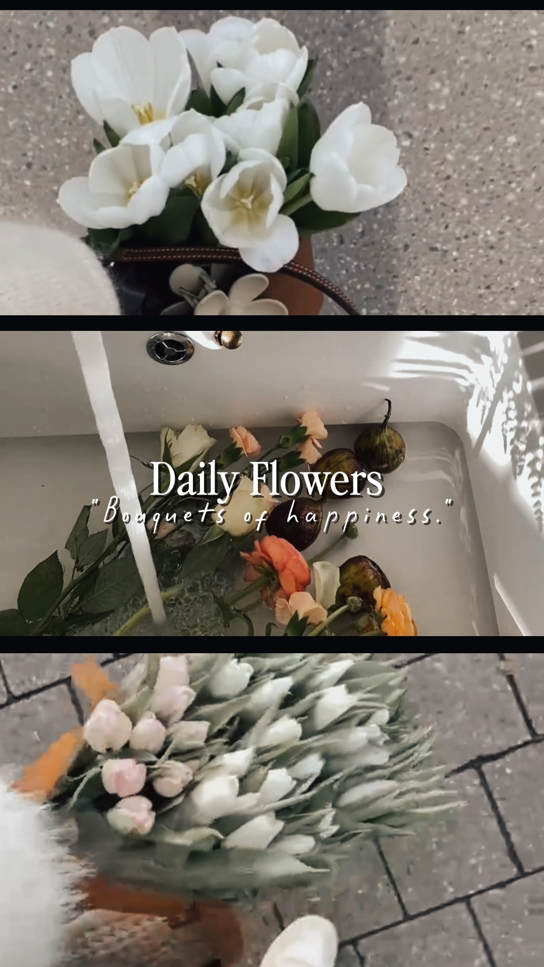 fleurs quotidiennes