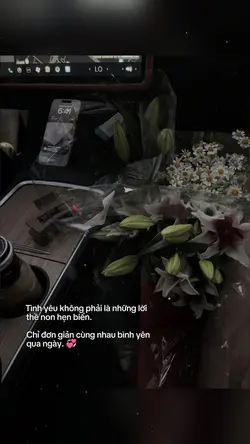 Cap1ảnh 
