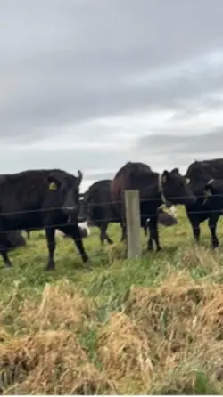 Dairy farmer