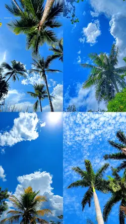 Blue Sky